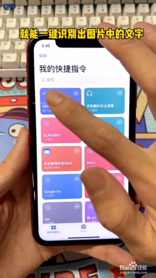 维棠 手机版_维棠flv视频下载mac版_手机维棠下载