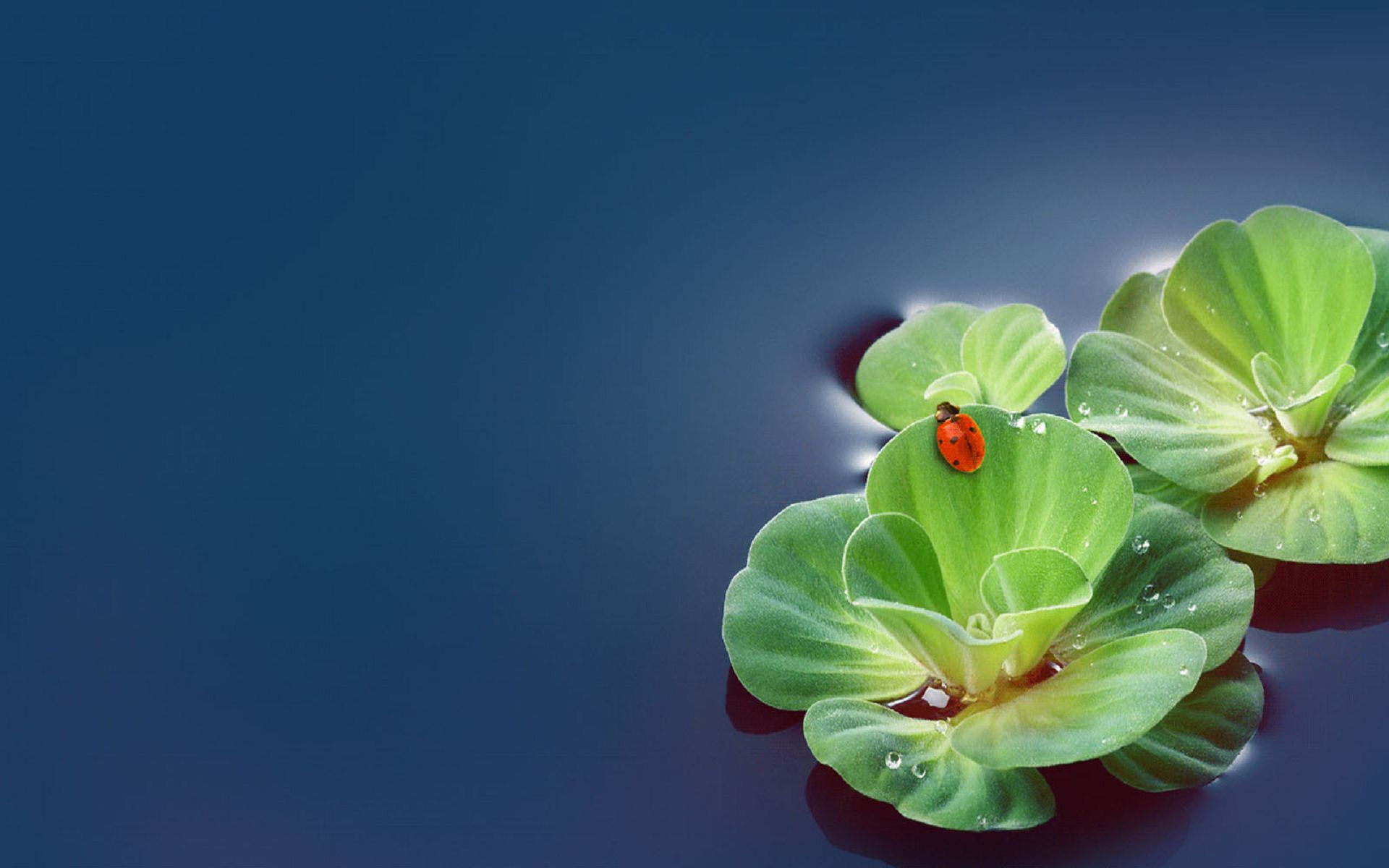 求图网?_求图网?_求图网?