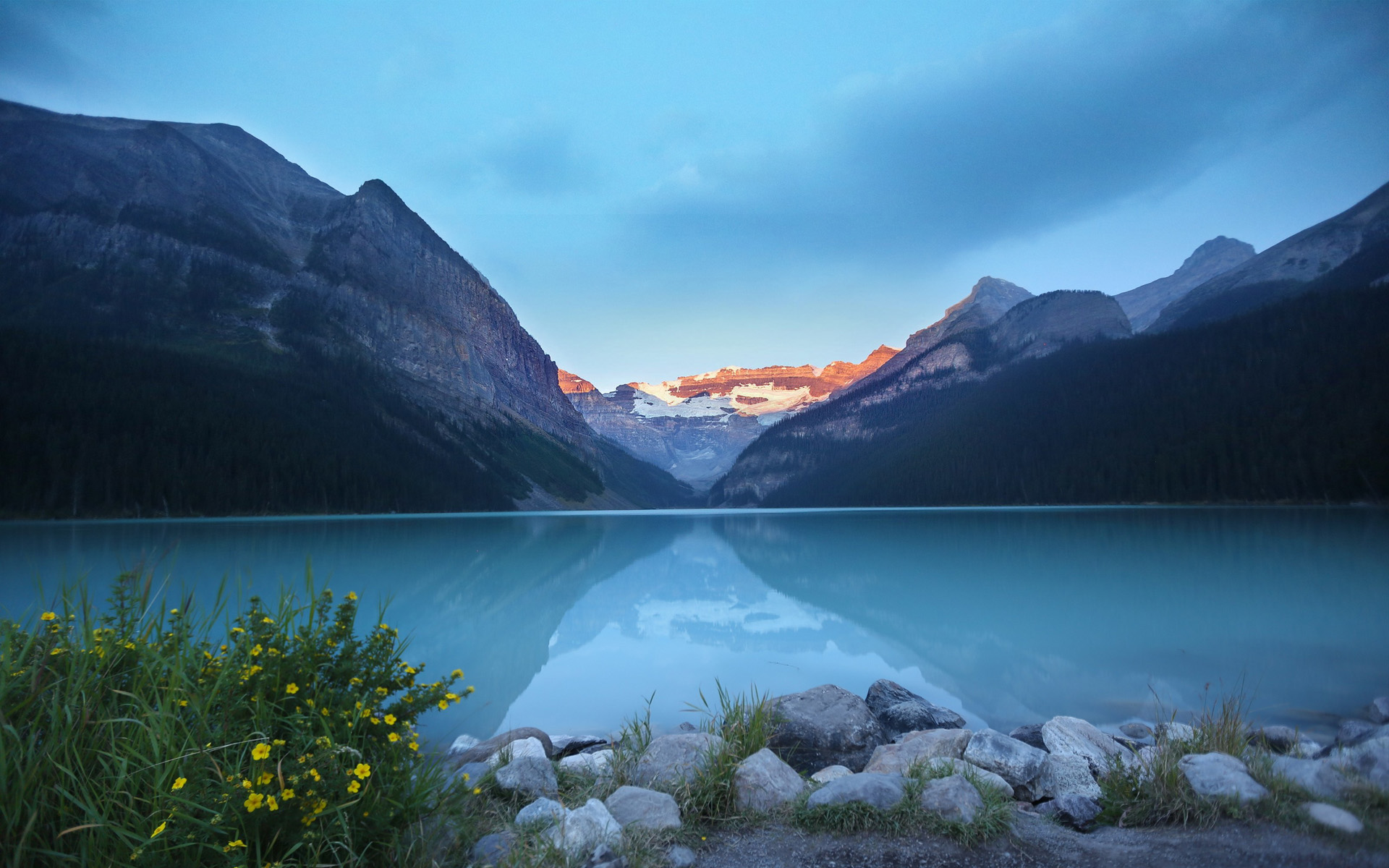 求图网?_求图网?_求图网?