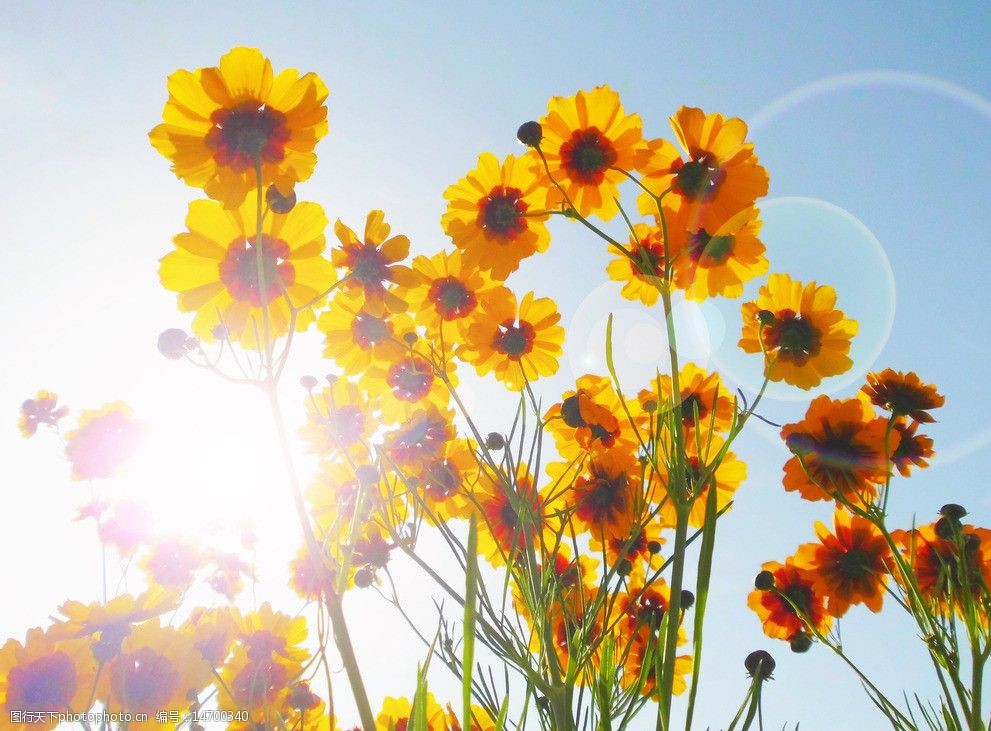 求图网?_求图网?_求图网?