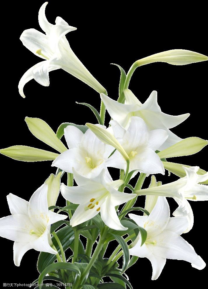 求图网?_求图网?_求图网?