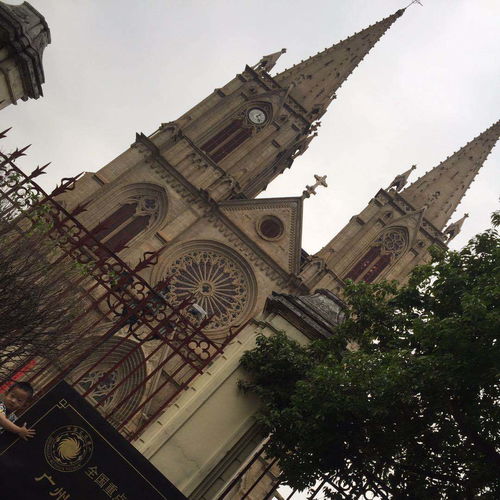 禁忌学院2 