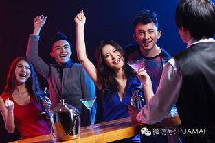 夜猫圈酒吧 *** 下载app 