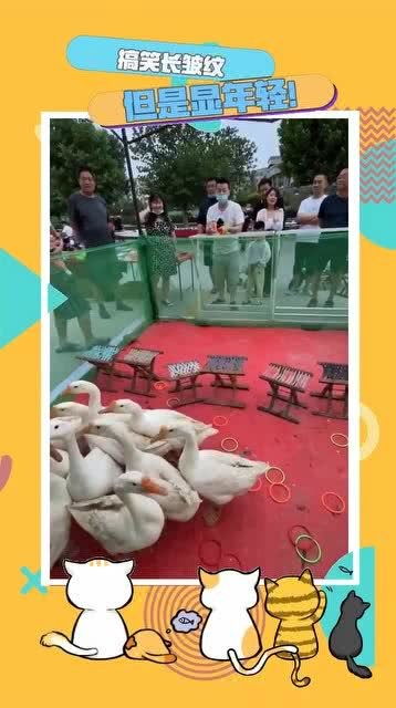 捣蛋鹅之无名大鹅游戏下载 