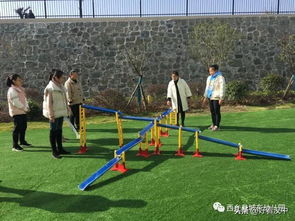 区域召唤 
