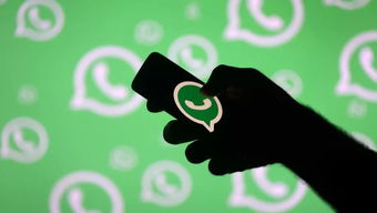 国外whatsapp研究现状,趋势、挑战与未来展望
