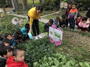 种植大挑战 