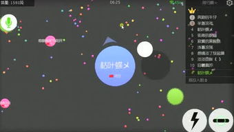 孤独的鸟儿游戏官方版2024下载安装v2.4 