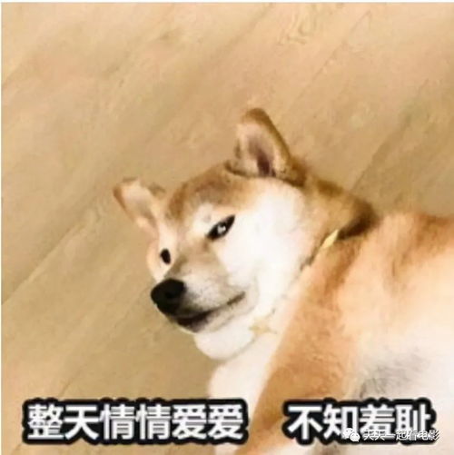 模拟建造森林游戏官中文版2024下载官网版 