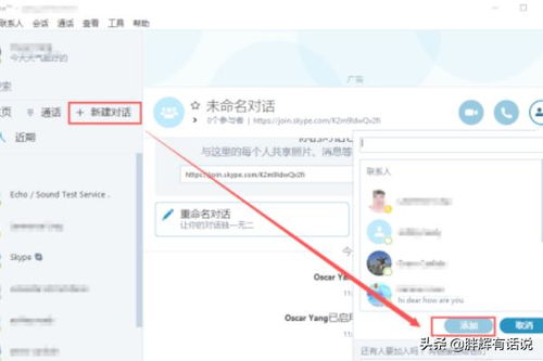 点击skype,跨越时空的沟通桥梁