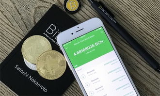 带翻译加密货币钱包,安全便捷的数字资产守护者与翻译功能揭秘