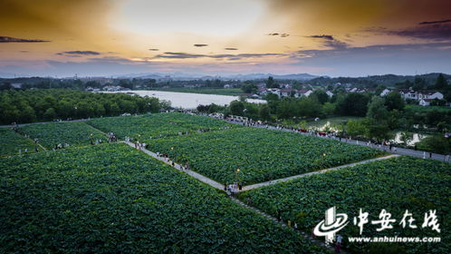 伊甸园的骄傲手游下载 